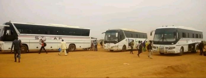 transport, car, transporteurs