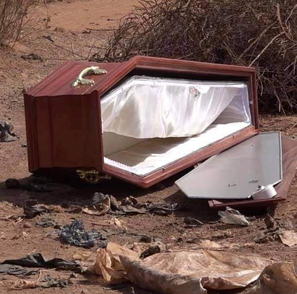 FB_IMG_1608414519376