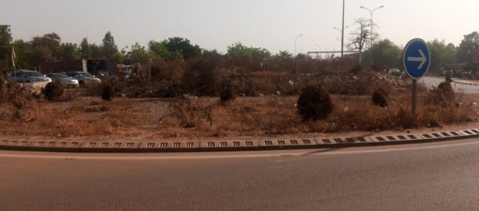 IMG_20210123_085343_221