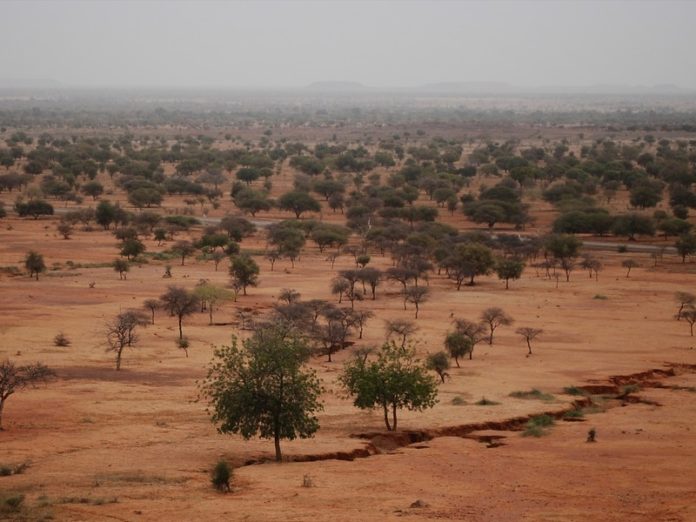 Sahel, Africa. 2009.