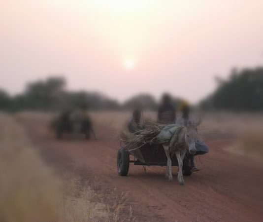 IMG-20210406-WA0052_1617730178872-534x450