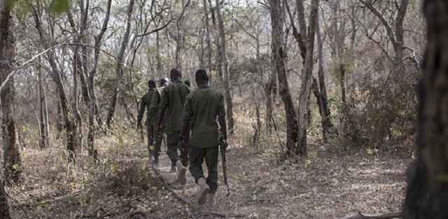 forestier, eaux et forêts