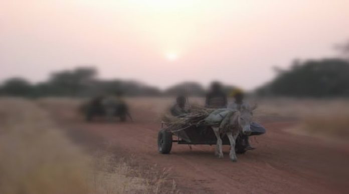 femmes, charettes, mines, tuées, terrorisme,