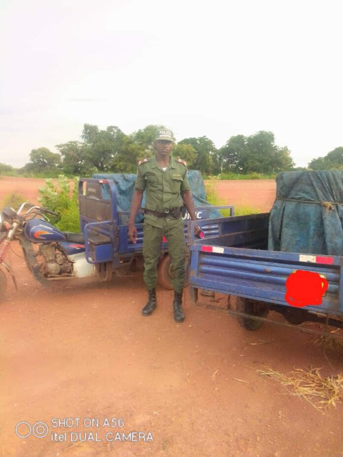 FB_IMG_1661256796426