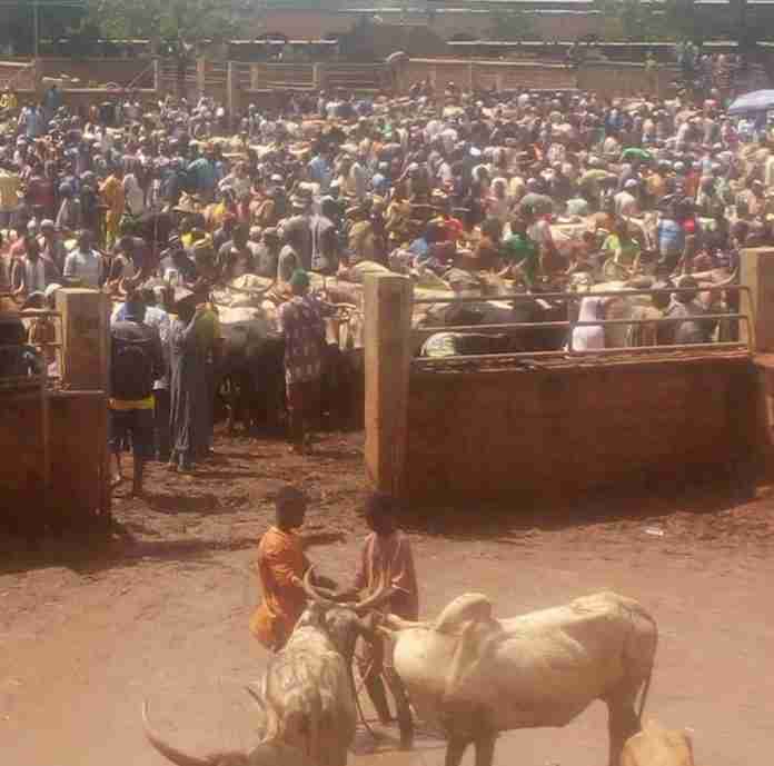 marché à bétails Fada