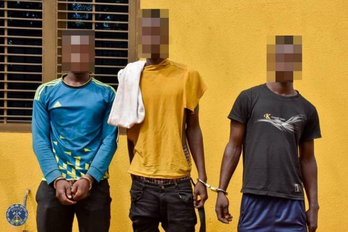 malfrats-delinquants_2_copy_1280x853