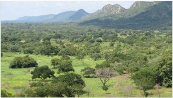 Screenshot_20230208-085200_Chrome_copy_1280x727