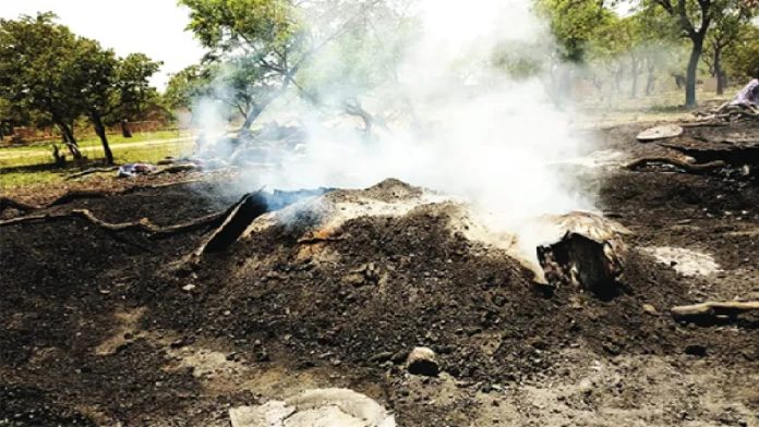 activité de carbonisation charbon