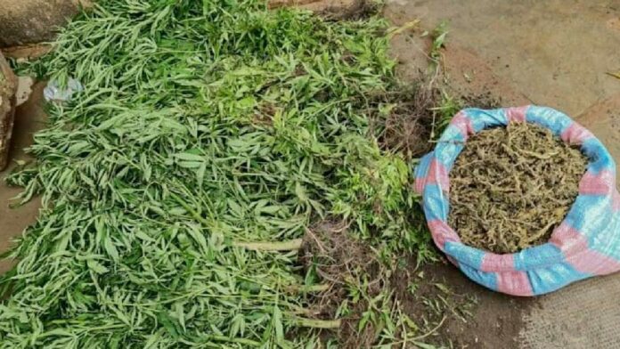 FB_IMG_1693503699695_copy_1200x675_1