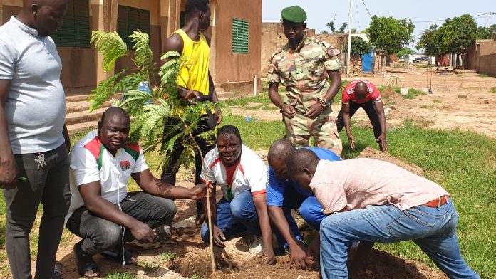 Jeunes engagés pour la Paix plantation d'arbres