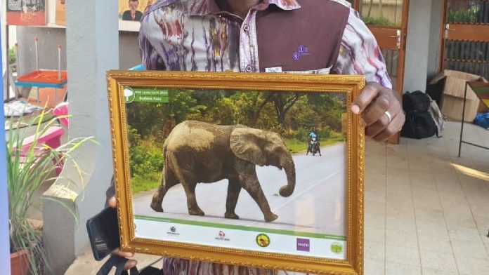 La démarche du pachyderme