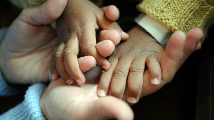 Adoption_copy_1200x675_1