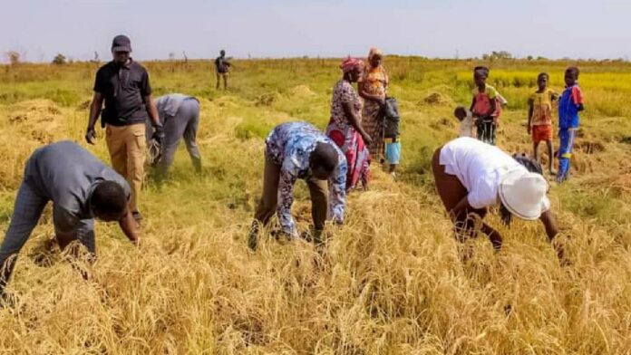 IMG-20240107-WA0003_copy_1200x675_1