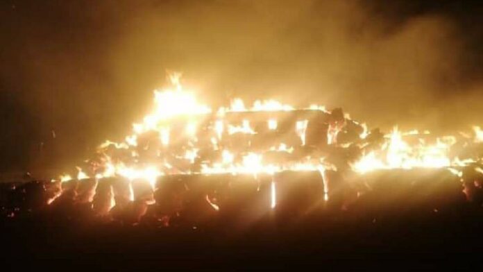 IMG-20240207-WA0005_copy_1200x675_1-1