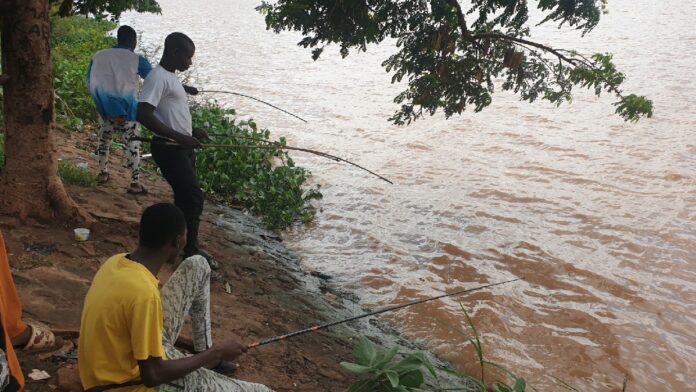 20240818_104240_copy_1200x675_1