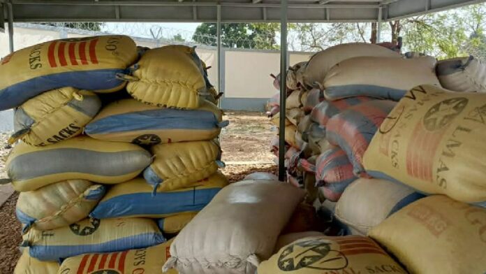 FB_IMG_1733166544412_copy_1200x675_1