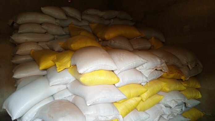 IMG-20241230-WA0032_copy_1200x675_1