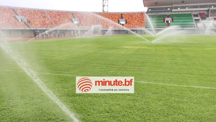 Pelouse stade du 4-août..