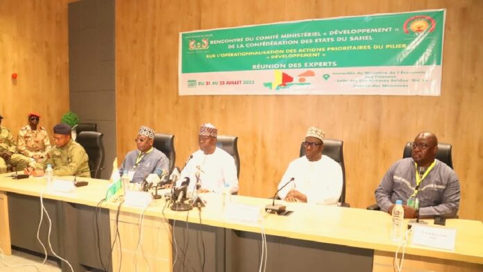 réunion experts AES BCID-AES