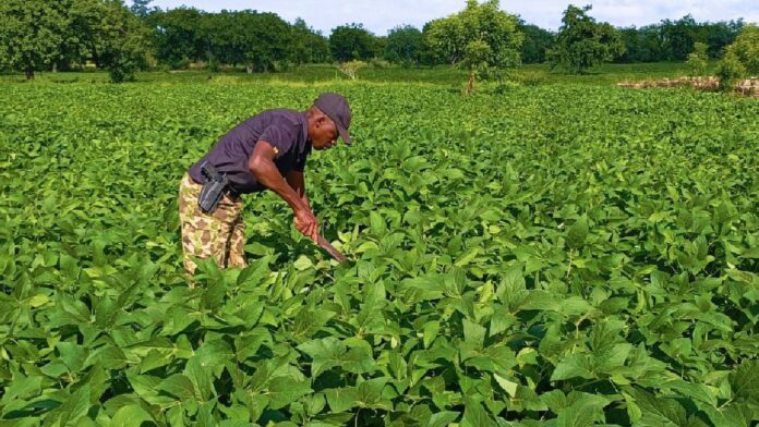 IMG-20250829-WA0039_copy_1200x675_1