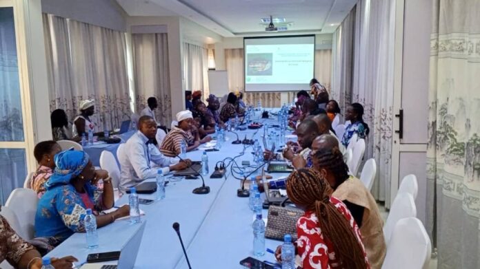 atelier Fonds vert pour le Climat par WEP-Burkina