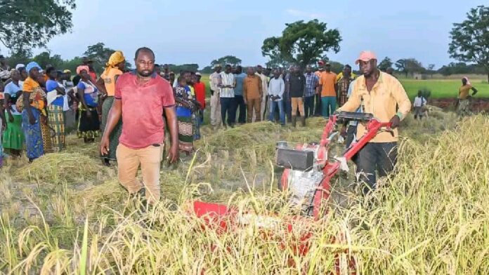 1761482326808_copy_1200x675_1