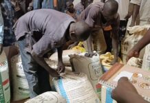 Sécurité alimentaire : La SONAGESS vise 530 000 tonnes de produits agricoles pour le stock de souveraineté