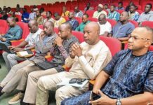 Intensification de la production agricole : Un manuel de vulgarisation des bonnes pratiques au service du monde rural