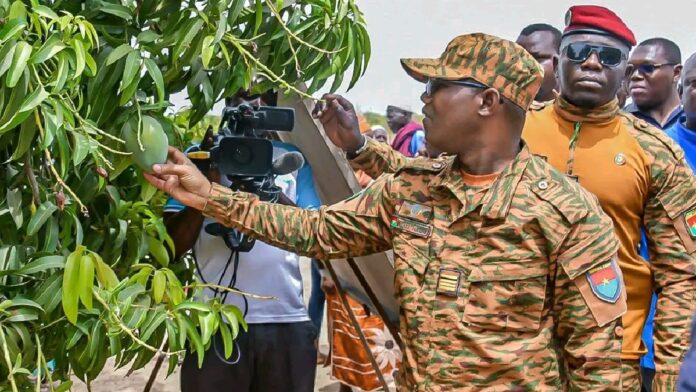 1774534915424_copy_1200x675_1