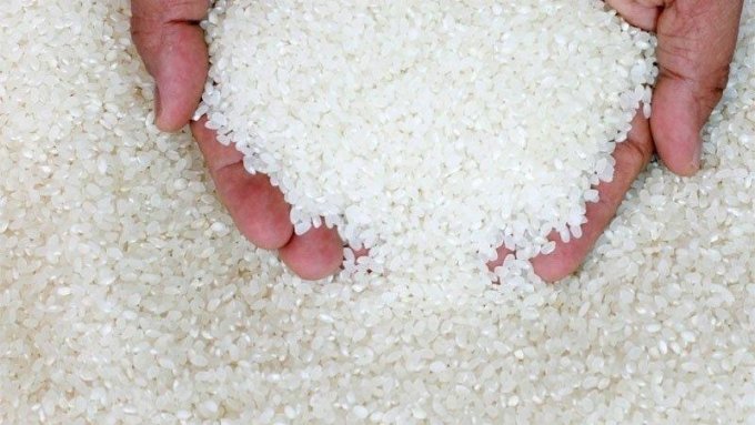 riz-brise-senegal-800x450-e4173